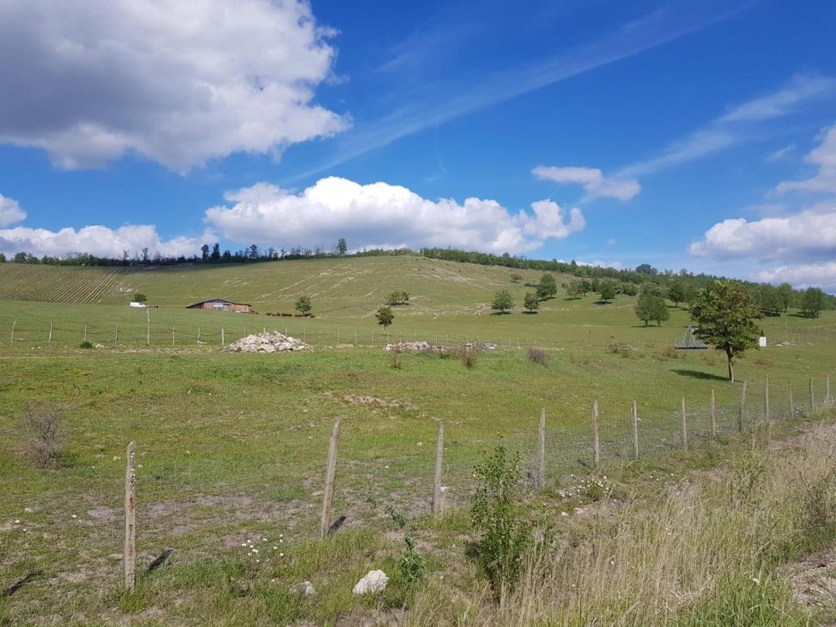 Warias Hotel & Restaurant Braunsbedra Экстерьер фото